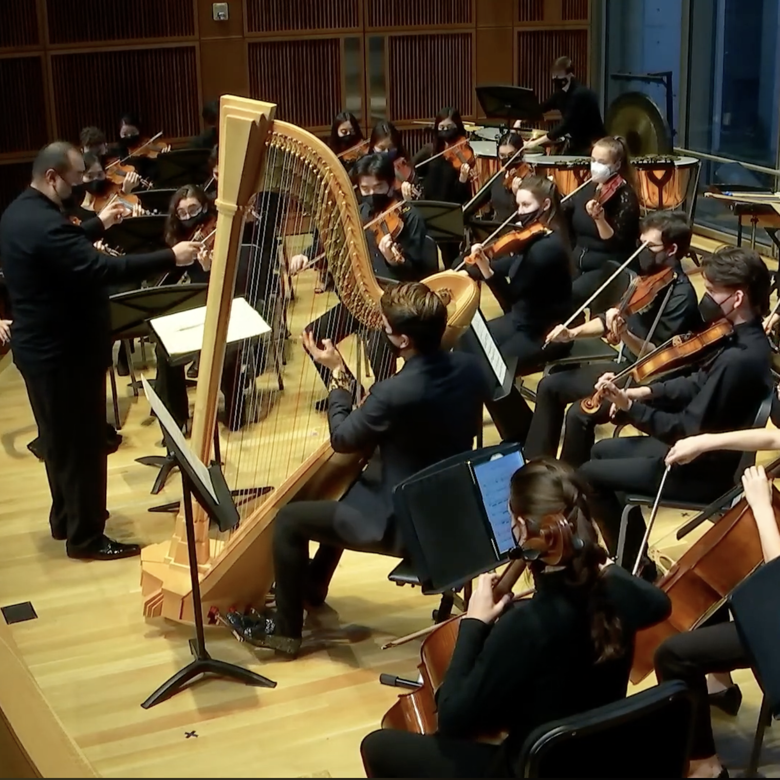 Harp Concerto shot